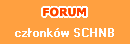 forum organizacji forum organizacji